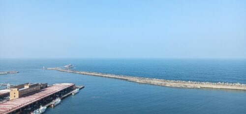 銚子ポートタワーから眺める銚子漁港の画像